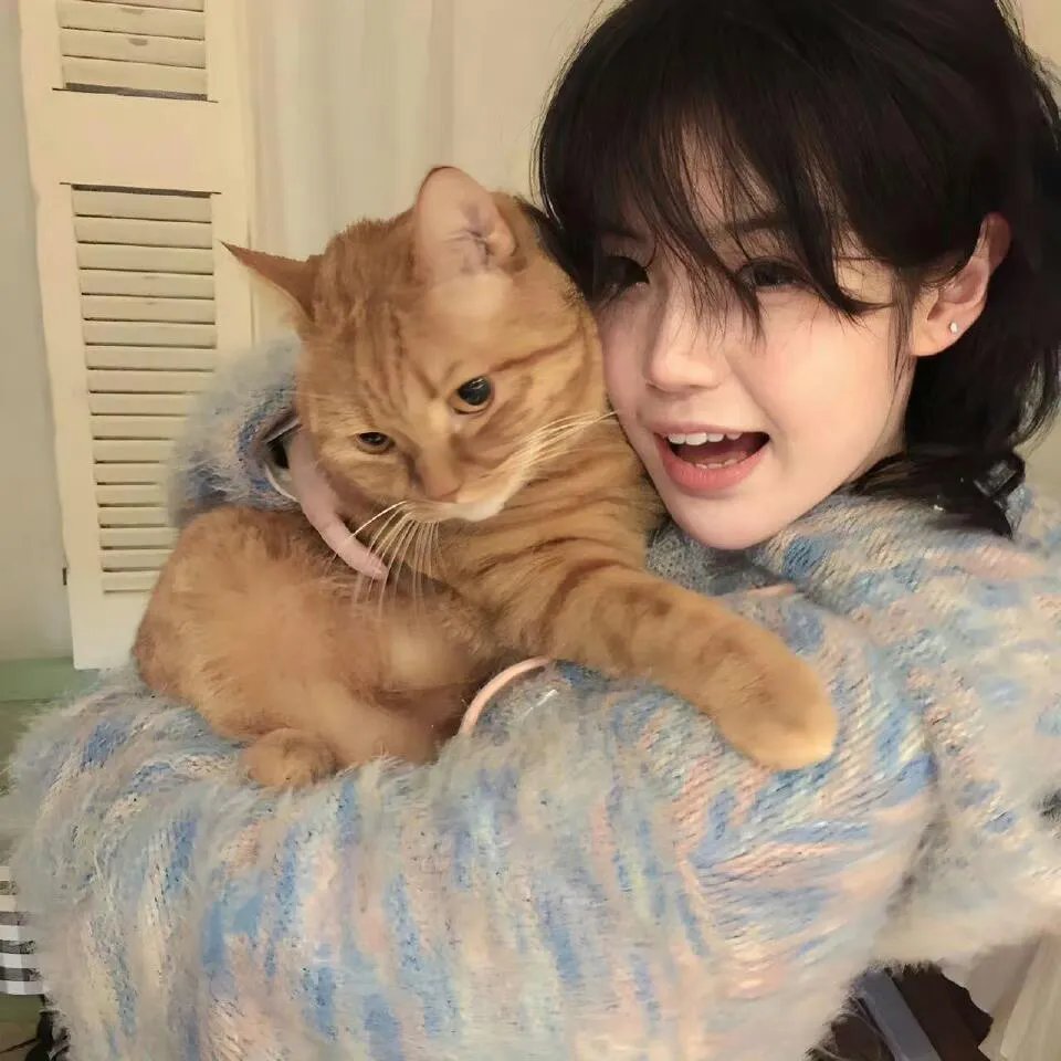 带着十个老婆发家致富